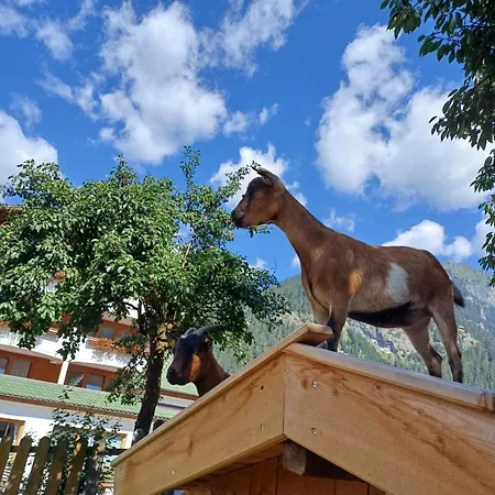 舍恩奥西赫特住宿加早餐旅馆